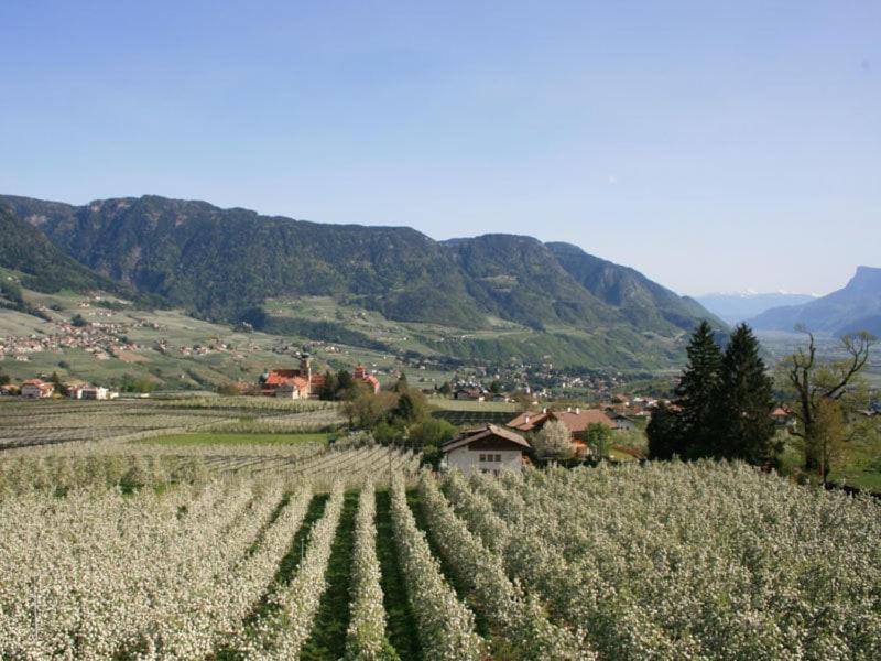 Residence Streitlhof Tirolo Bagian luar foto